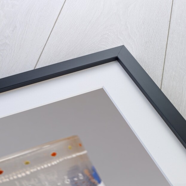 Satirical Beaker by Anonymous