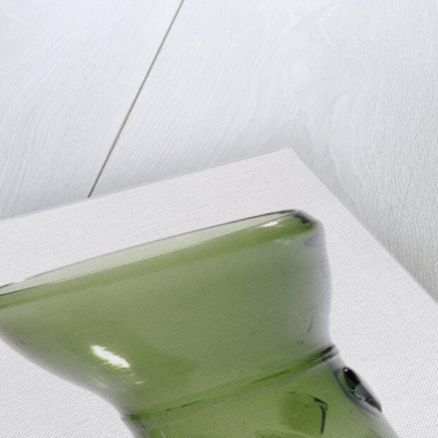 Prunted Beaker (Berkemeyer) by Anonymous