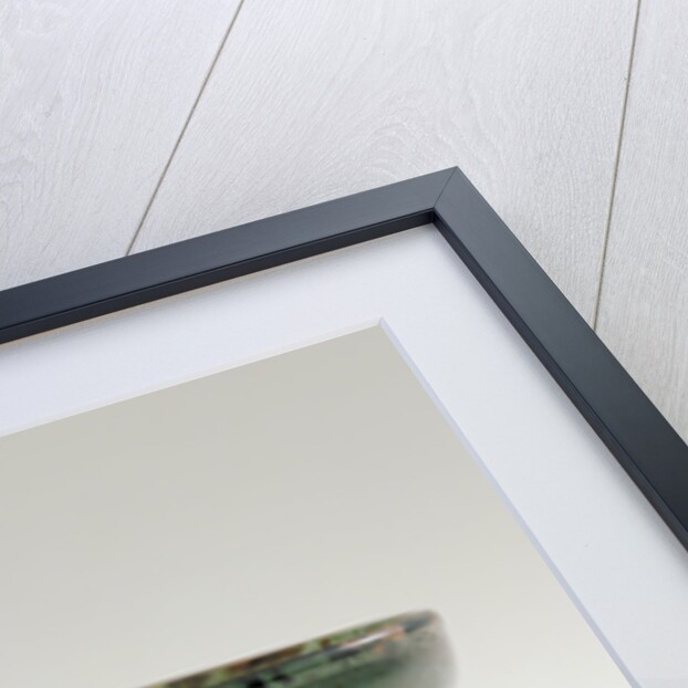 Prunted Beaker (Krautstrunk) by Anonymous