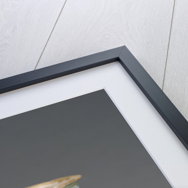 Jar with Foliate Decoration by Anonymous