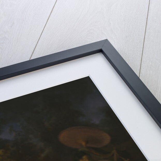 The Abduction of Europa by Rembrandt Harmensz. van Rijn