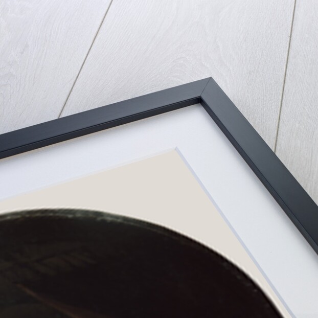 Astronomer by Candlelight by Gerrit Dou