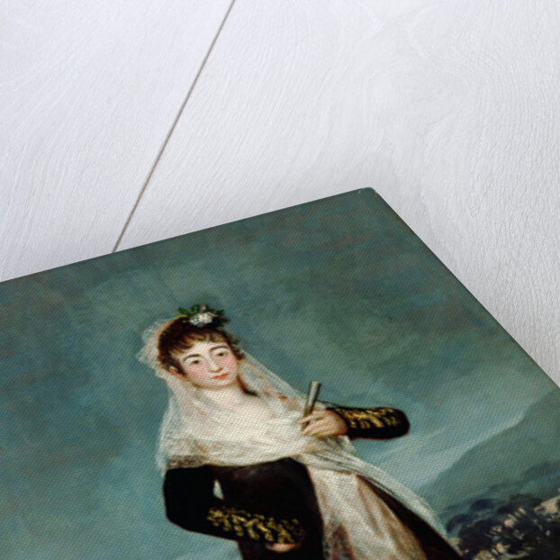 Portrait of the Marquesa de Santiago by Francisco José de Goya y Lucientes
