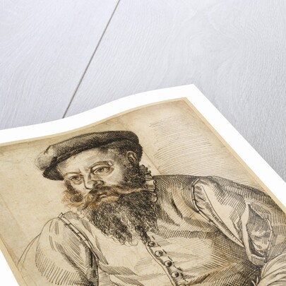 Portrait of a Bearded Man by Tobias Stimmer
