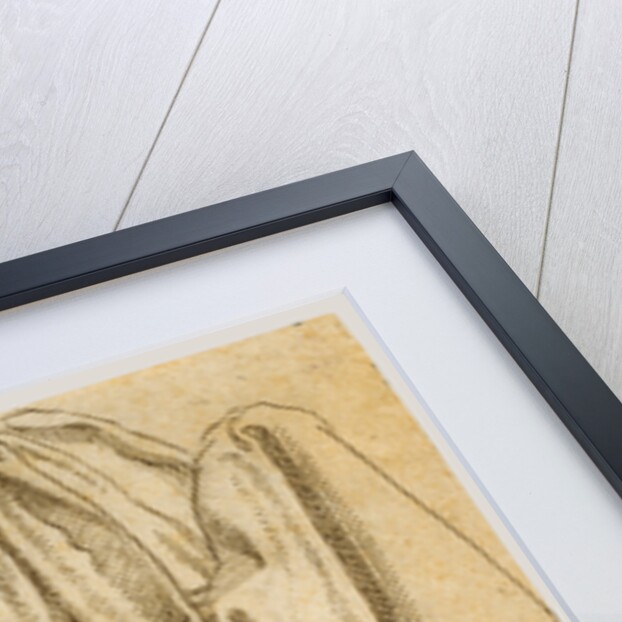 Study of a Hanging Drapery by Hans Brosamer