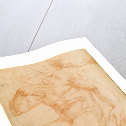 Studies of a Male Nude, a Drapery, and a Hand by Giorgio Vasari