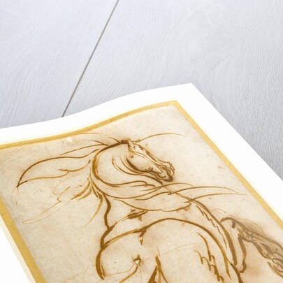 Study of a Rearing Horse by Jacques Callot
