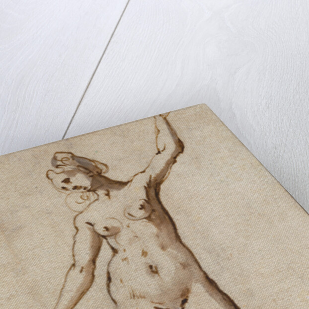 Female Nude by Karel van Mander