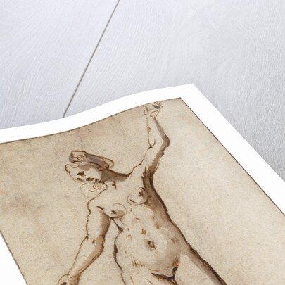 Female Nude by Karel van Mander