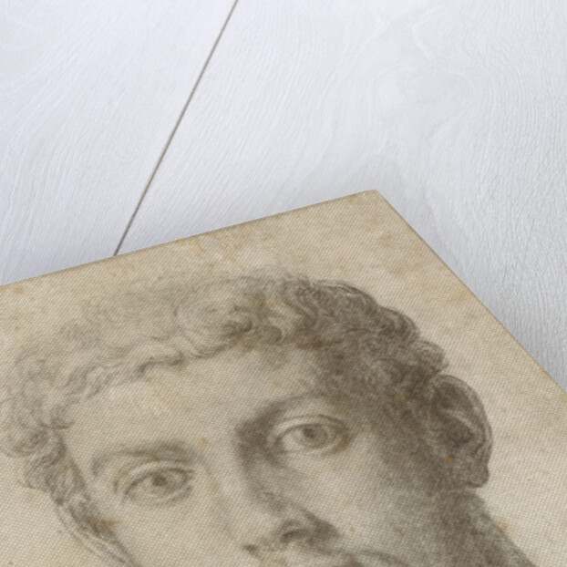 Head of a Man by Agnolo Bronzino