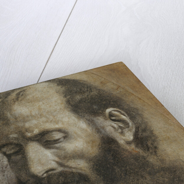 Saint Paul by Giovanni Girolamo Savoldo