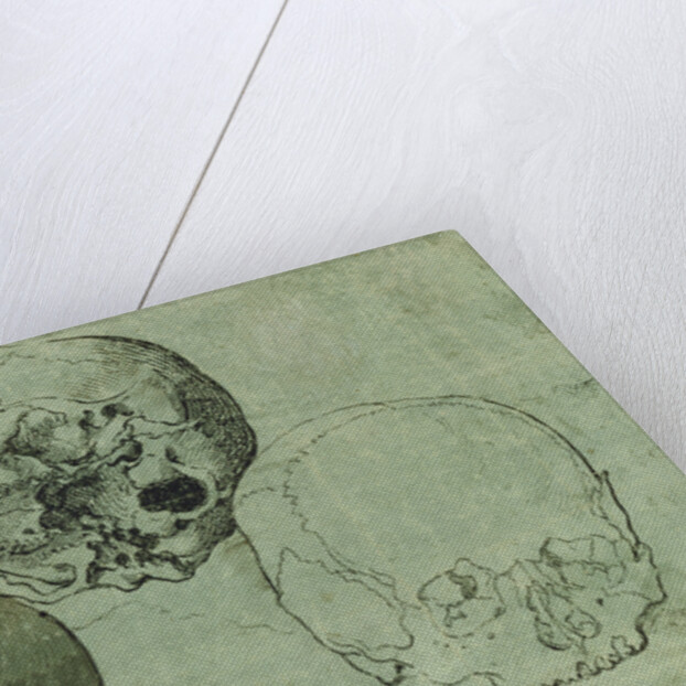 Study of Three Skulls (recto), Architectural Study (verso) by Anonymous