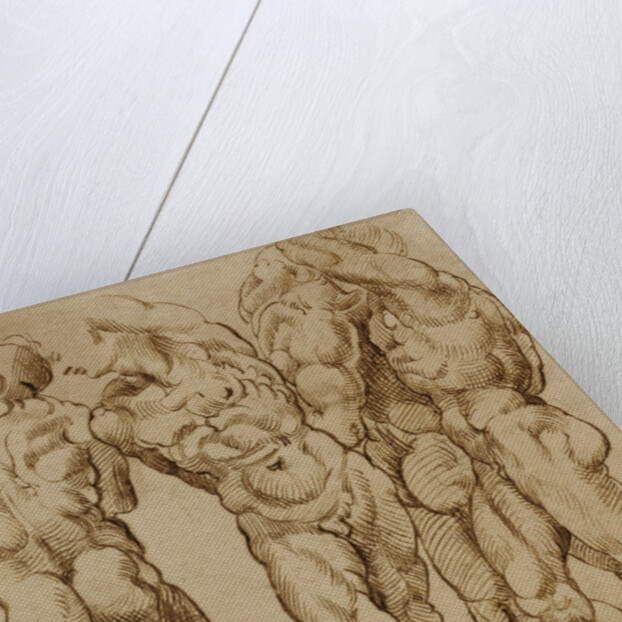 Nude Studies by Bartolomeo Passarotti