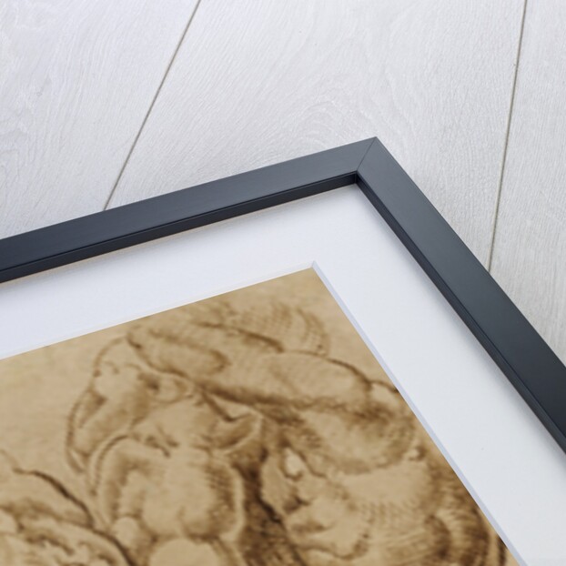 Nude Studies by Bartolomeo Passarotti