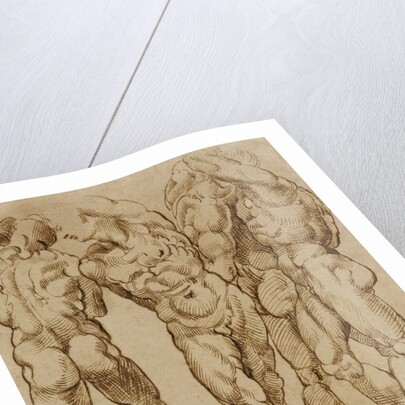 Nude Studies by Bartolomeo Passarotti