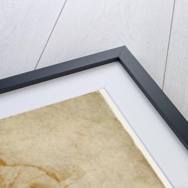 Female Figure with a Tibia, and Ornamental Studies (recto), Ornamental Studies (verso) by Raphael