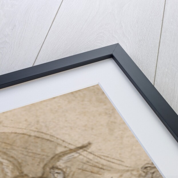 Adoration of the Shepherds by Baciccio