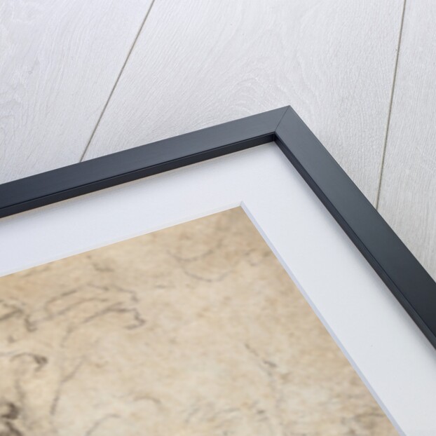 A Man Riding a Bull, and Other Figures by Correggio