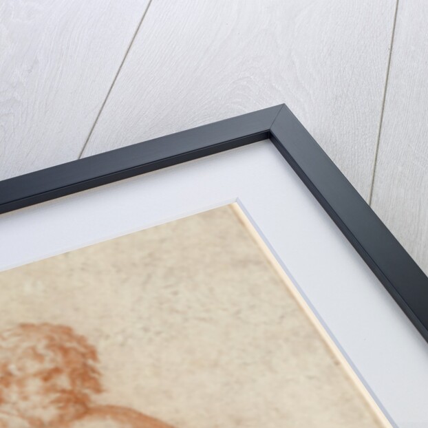 Study of a Male Figure (Empedocles and/or Saint Roch) by Rosso Fiorentino