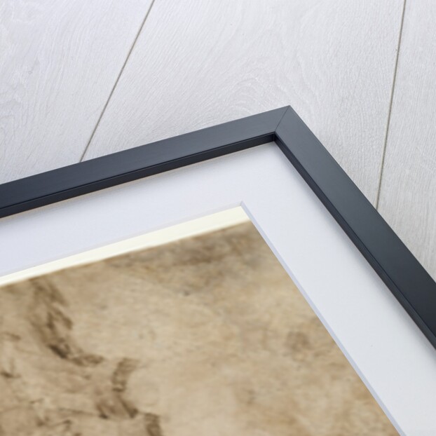 Saint Martin Dividing His Cloak with a Beggar by Lorenzo Lotto