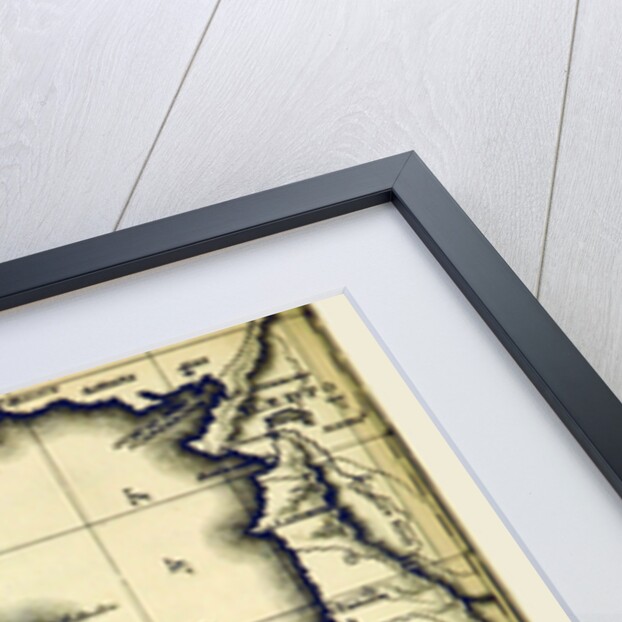 Letters from Palestine by Anonymous