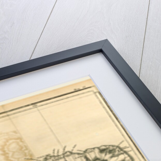 Mao of the Island of St. Michael, Azores or Western Islands by Anonymous