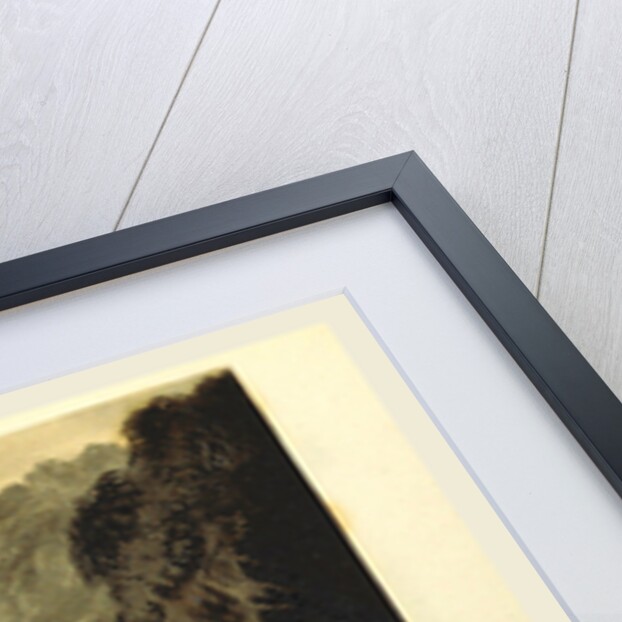 The Scenery of Wales, Dolmelynllyn Fall, UK, 19th century by Anonymous