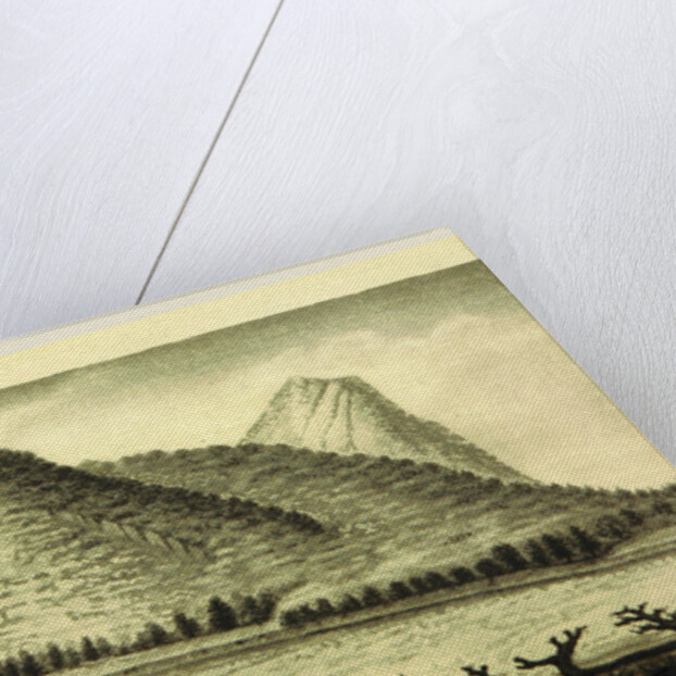 A Journal of travels into the Arkansa Territory, during the year 1819 by Anonymous