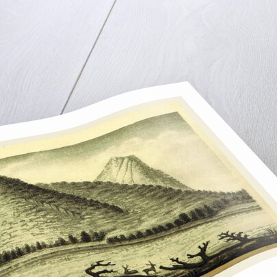 A Journal of travels into the Arkansa Territory, during the year 1819 by Anonymous