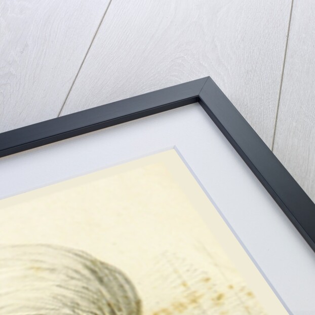 19th century engraving by J.S. Buckingham