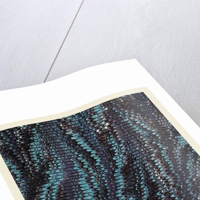 marbled paper, 19th century by Anonymous