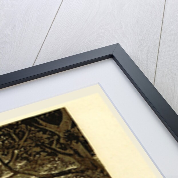 An Historical and Descriptive Account of Croome d'Abitot, the seat of the Right Hon. the Earl of Coventry by Anonymous