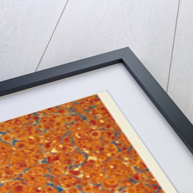 Background, blue, creme, brown, by Anonymous