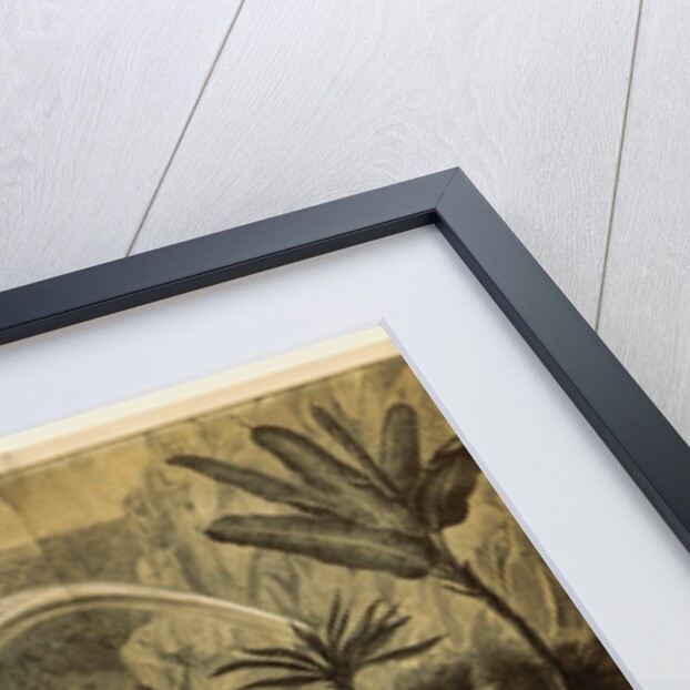 Fountain of Uraquau, South America by Anonymous