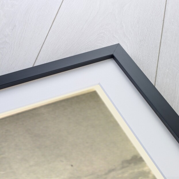 Constantinople in 1828, Istanbul, Turkey by Anonymous