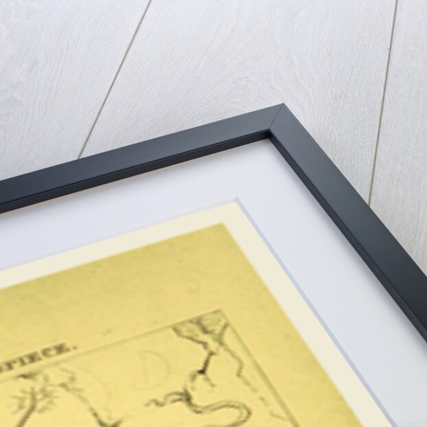 The Siamese Twins, A satirical tale of the times by Anonymous