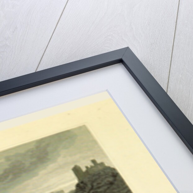 Bornhofen, Tombleson's Views of the Rhine, Germany by Anonymous