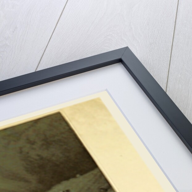 Rudesheim, Germany, Tombleson's Views of the Rhine, Tombleson's Views of the Rhine by Anonymous