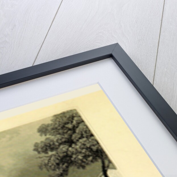 Conservatory at Wiesbaden, Germany, Tombleson's Views of the Rhine. by Anonymous