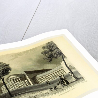 Conservatory at Wiesbaden, Germany, Tombleson's Views of the Rhine. by Anonymous