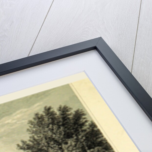 Castle of Johannesberg, Germany, Tombleson's Views of the Rhine, Tombleson's Views of the Rhine by Anonymous