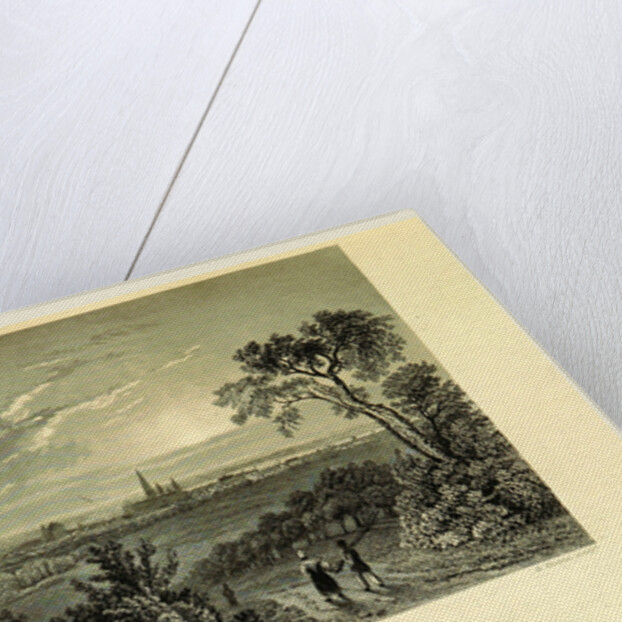 Bonn, Germany, Tombleson's Views of the Rhine, Tombleson's Views of the Rhine by Anonymous