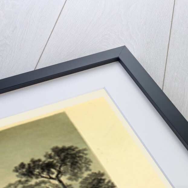 Bonn, Germany, Tombleson's Views of the Rhine, Tombleson's Views of the Rhine by Anonymous