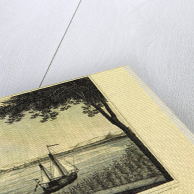 Town and university of Bonn am Rhein by Anonymous