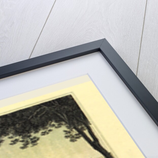 Town and university of Bonn am Rhein by Anonymous