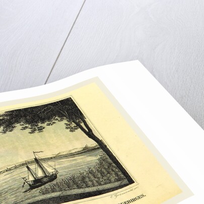 Town and university of Bonn am Rhein by Anonymous