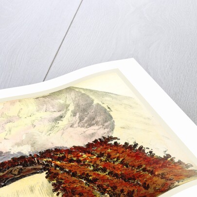 Sketches of Vesuvius, Italy by Anonymous