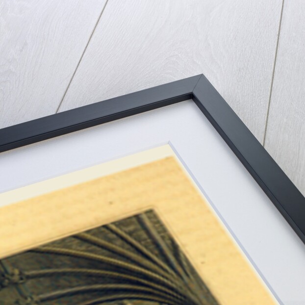 The Picturesque Beauties of Devonshire, Exeter Cathedral by Anonymous