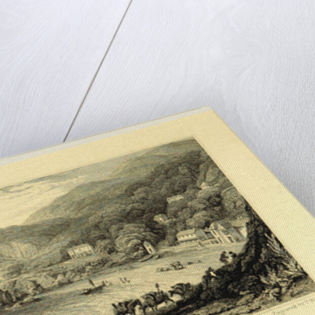 The Picturesque Beauties of Devonshire, Babicombe by Anonymous