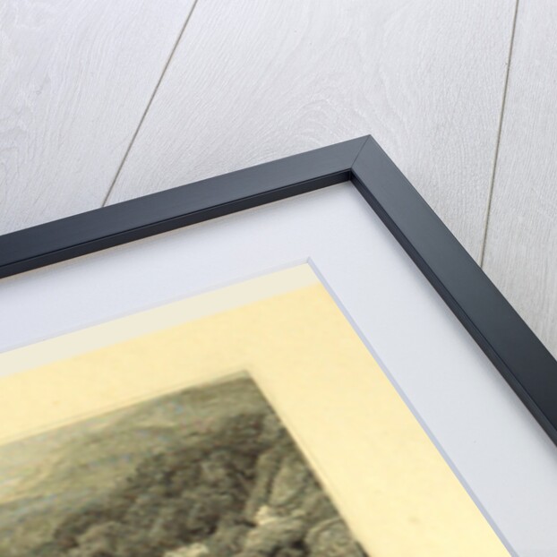 The Picturesque Beauties of Devonshire, Babicombe by Anonymous